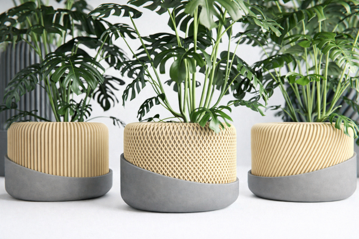 et de Materas Texturizadas con Base – Diseño Moderno